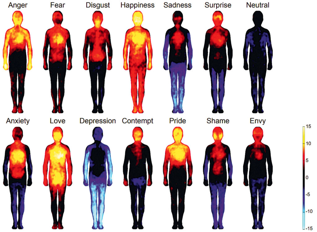 Keha emotsioonide topograafiline kaart. Soojad toonid näitavad, kus on emotsiooni tundmine kõige tugevam ja külmad toonid, kus seda emotsiooni ei tunta. Põhiemotsioonide hulka kuuluvad: õnnelikkus, üllatus, kurbus, hirm, viha ja vastikus. Foto: Nummermaa jt, 2013)